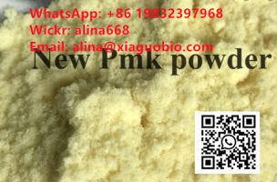 Yellow Powder CAS 28578-16-7 PMK Powder With Safe Delivery
