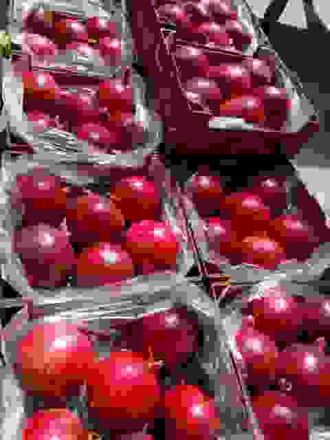 Fresh PERU Pomegranate Fruits For Wholesale