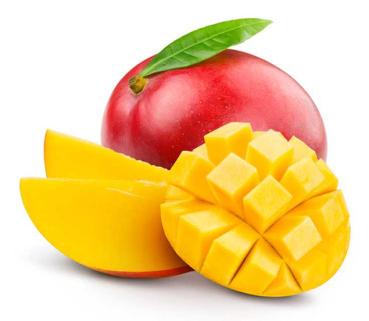 Mangoes Kent Fresh From PERU Top Exporter of Mango