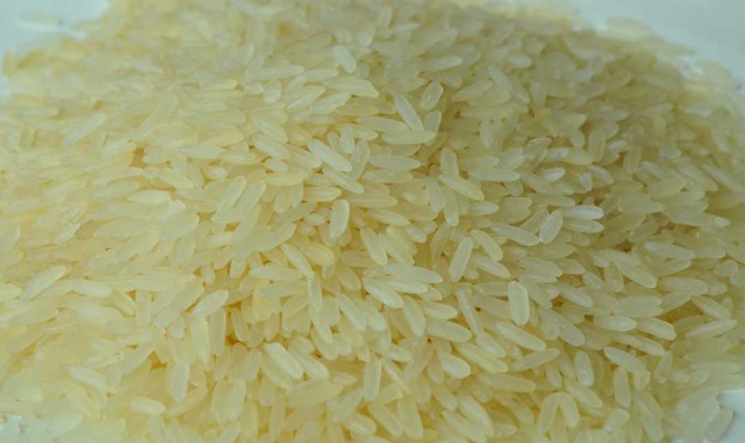 Indian Long Grain and Medium Grain Rice
