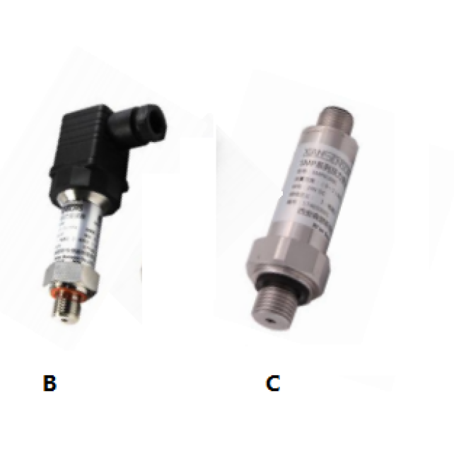 PT00:  Pressure Transmitter HAS M12 connector, G1/4  process interface