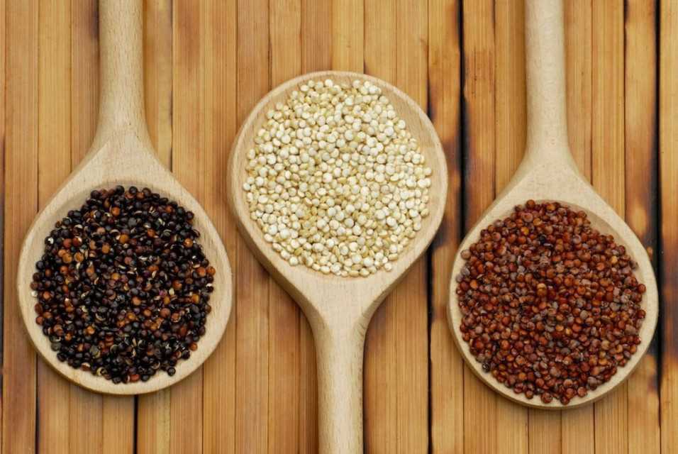 Quinoa Conventional, Organic, White, Red, Black From Peru