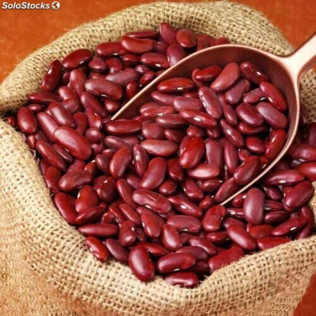 Premium Red Kidney Beans - Wholesale Agro Supplier