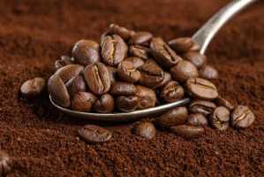 Coffee Beans Powder Organic, Convetional, From Peru