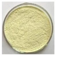 Food Additive High Content Bacillus Coagulans Probiotic