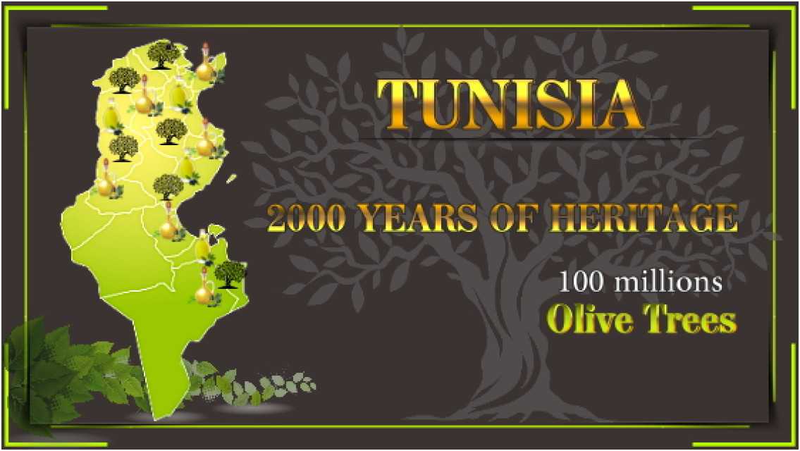 Tunisian organic extra virgin olive   oil