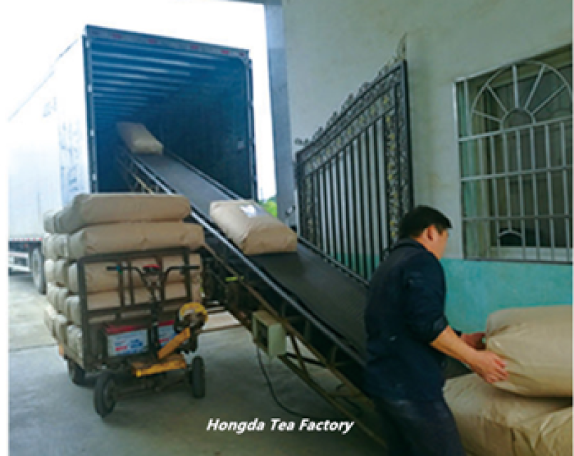China Chunmee Tea Export Factory