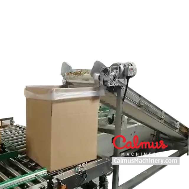Bag in Box Forming Filling Sealing Line for Packaging Nuts Granules