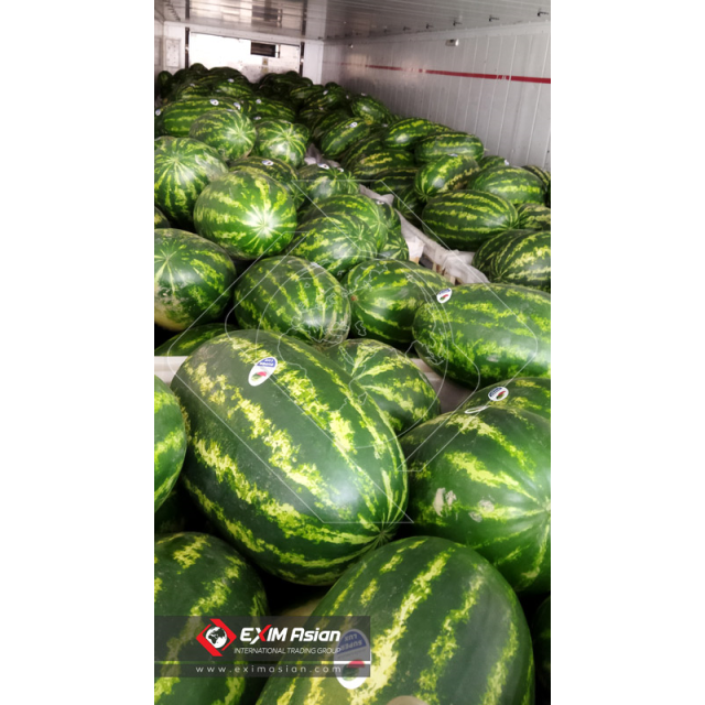 Iran Fresh Watermelon
