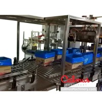 Fully-automatic Carton Liner Bag in Box Line - Packaging Solution