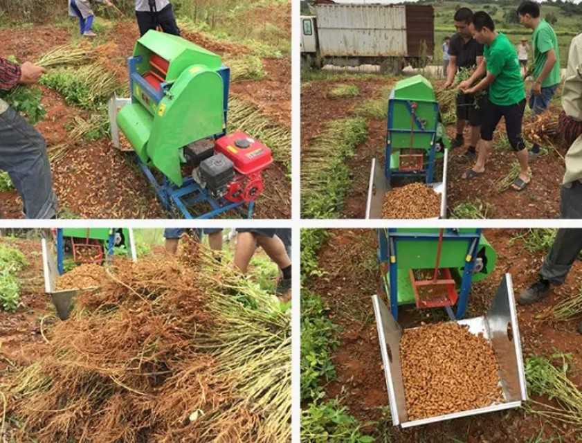 Efficient 0.75kw Peanut Harvester Picker Machine for Flexible Field Picking