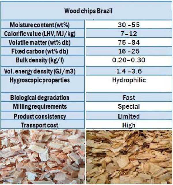 Wood Chips Shaving