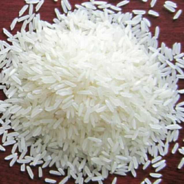 Bulk Basmati White Raw Rice 5% Broken - Wholesale Export Supplier