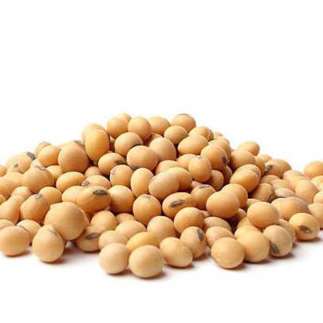 Bulk Quality Soybean Non-GMO for Export: Premium Tanzanian Produce