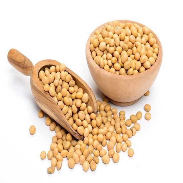 Bulk Quality Soybean Non-GMO Available For Export