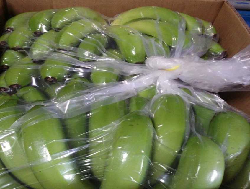 Fresh Cavendish Banana Exporters / Malaysia / Singapore / Australia