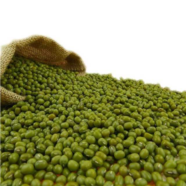 High Grade Dried Style Delicious Green Mung Bean