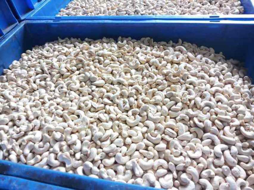 Premium Cashew Nuts/Cashew Kernels Ready For Supply
