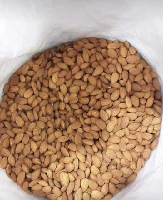 Almond Nuts For Sale At Competitive Price