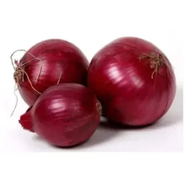 Premium Indian Red Onions - Fresh Onion Wholesale Supply