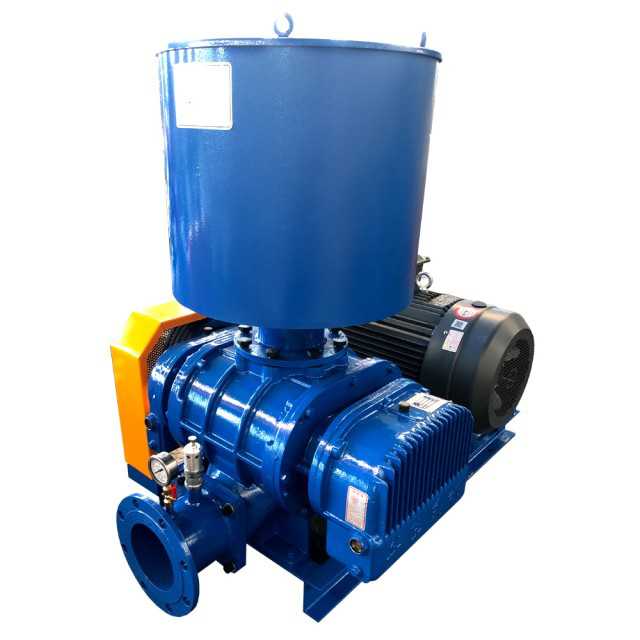 Reliable Hdsr 3 Lobe Roots Blower for Various Industries