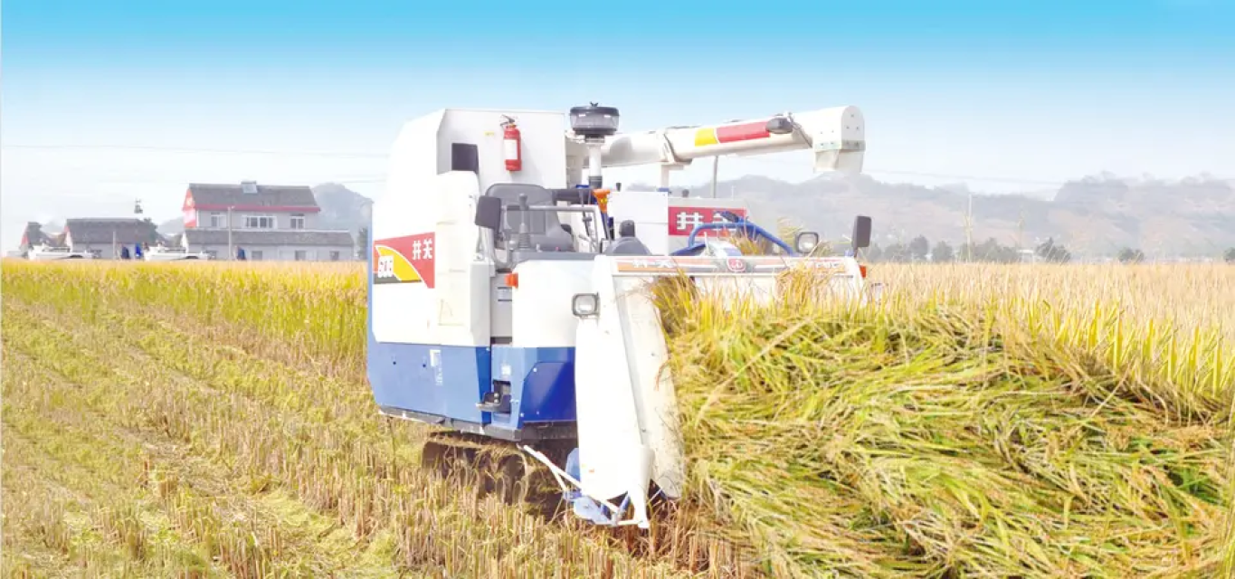 High-Efficiency Half Feeding Rice Harvester Combiner Farming Machine