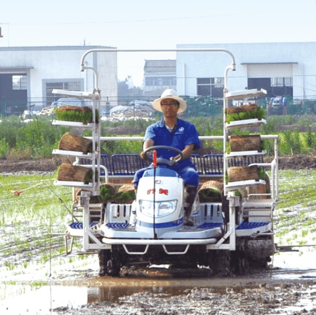 High-Speed Rice Transplant Farming Machine - Efficient Agro Equipment