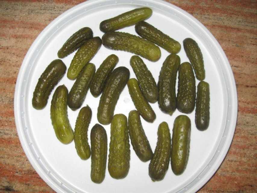 Pickled Cucumber, Pickled Gherkin