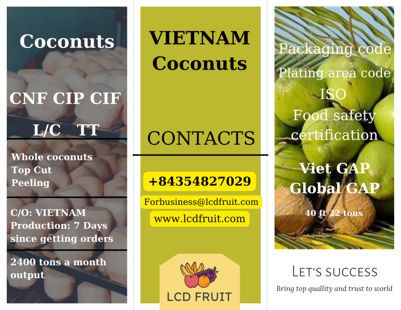 Coconut Supplier From Vietnam By LCD Fruit