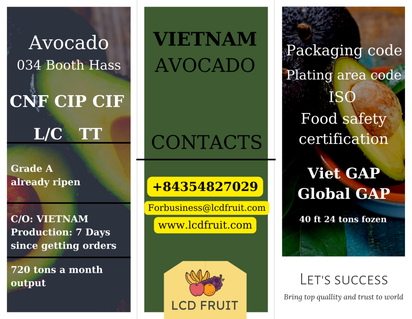 Frozen Avocado Supplier Booth, Hass, 034 - Premium Quality Vietnam Avocados