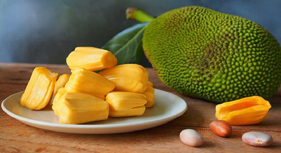 Vietnam Jack Fruit/ Durian - Wholesale Supply