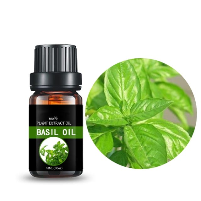 Basil Oil & Eugenol - Unrivaled Aromas for Your Creations