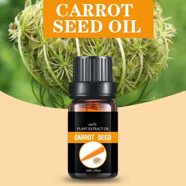 Pure Carrot Seed Oil - Natural Perfume Oil