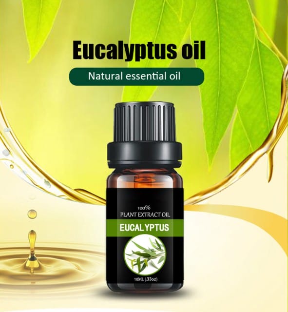 Premium Eucalyptus Oil - Natural Fragrance for Cosmetics