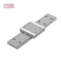 Miniature Linear Guide Rail LMNW Series for Precise and Compact Automation Equipment