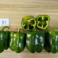 P1702 Green Sweet Bell Pepper Seeds - High Producivity Greenhouse Cultivation