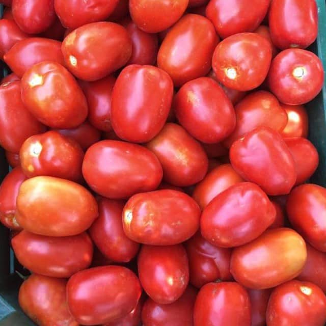 T192 High-Quality Semi Determinate Saladette Tomato Seeds