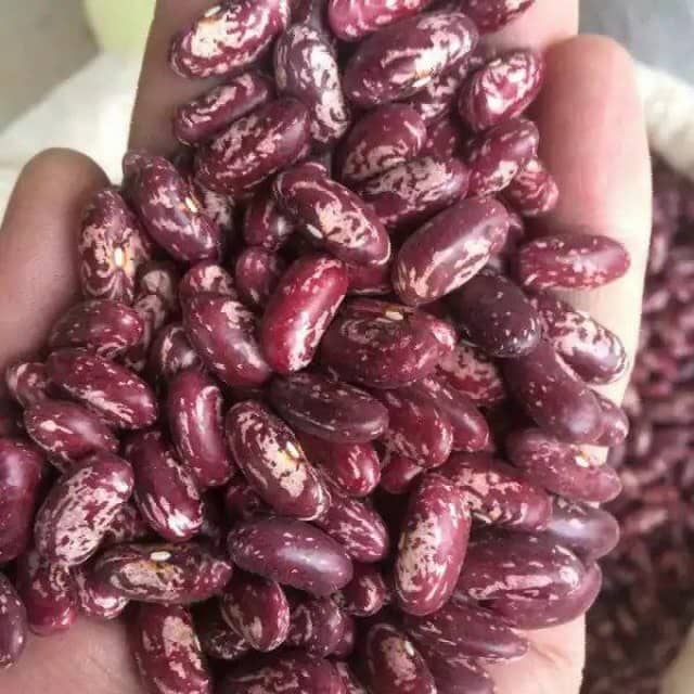 Green Mung Beans - Best Price, Wholesale Supplier from Uzbekistan