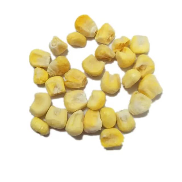 Premium Frozen Corn from Vietnam - Quality Supplier