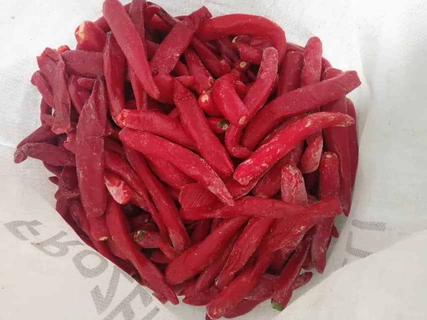Frozen Red Chillies from Vietnam - Spices by Queens Company