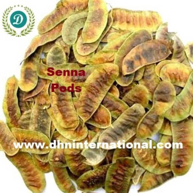 Senna Leaves and Pods - High Medicinal Properties for Health