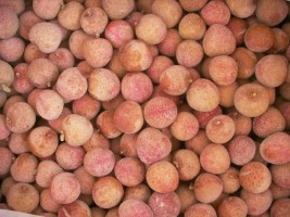 Vietnamese Frozen Lychees - Premium Quality