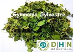 Gymnema Sylvestre Leaves and T-Cuts - Pure and Potent Herbal Solution