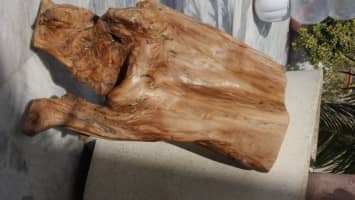 Sandalwood Logs from India - Wholesale Supplier for Beads and More