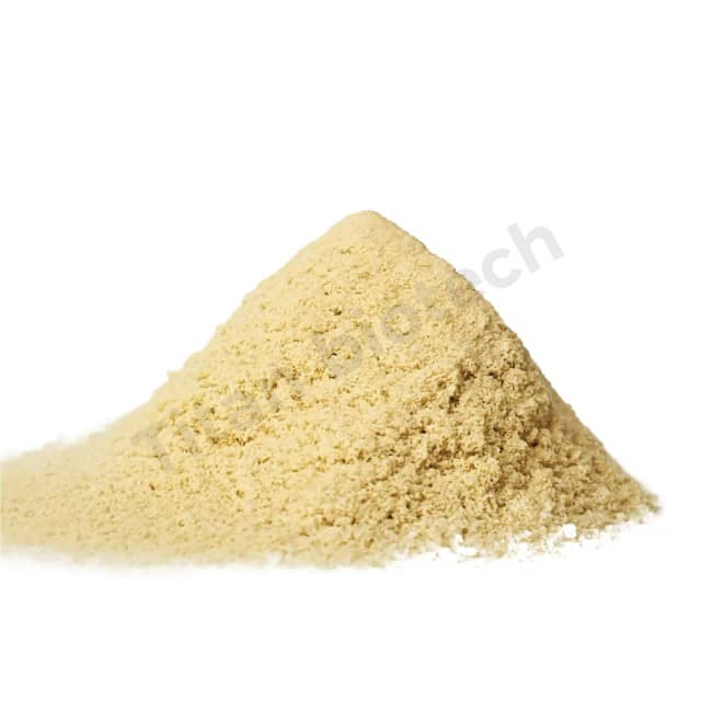 Yeast Extract: High-protein Flavor Enhancer & Nutritional Supplement