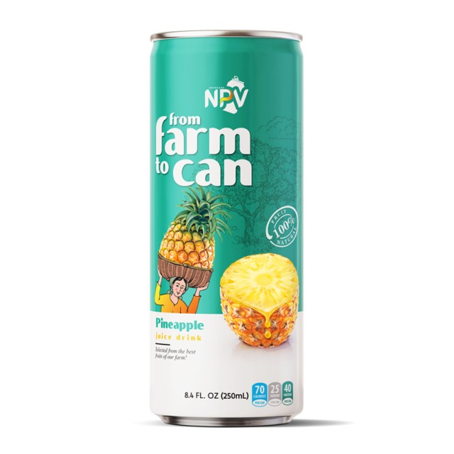 Philippine Brand 100% Pineapple Juice 250ml 