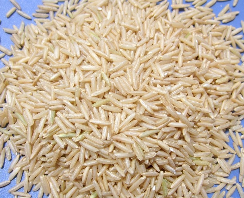 Premium Rice 1121/1506 - Global Culinary Excellence by Talha Associates