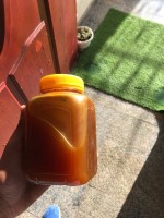Premium Ethiopian Honey - Doldola Honey Wholesaler