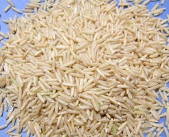 Premium Rice 1121/1506 - Global Culinary Excellence by Talha Associates