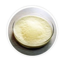 China's Best Xanthan Gum - Enhancing Food Quality and Value